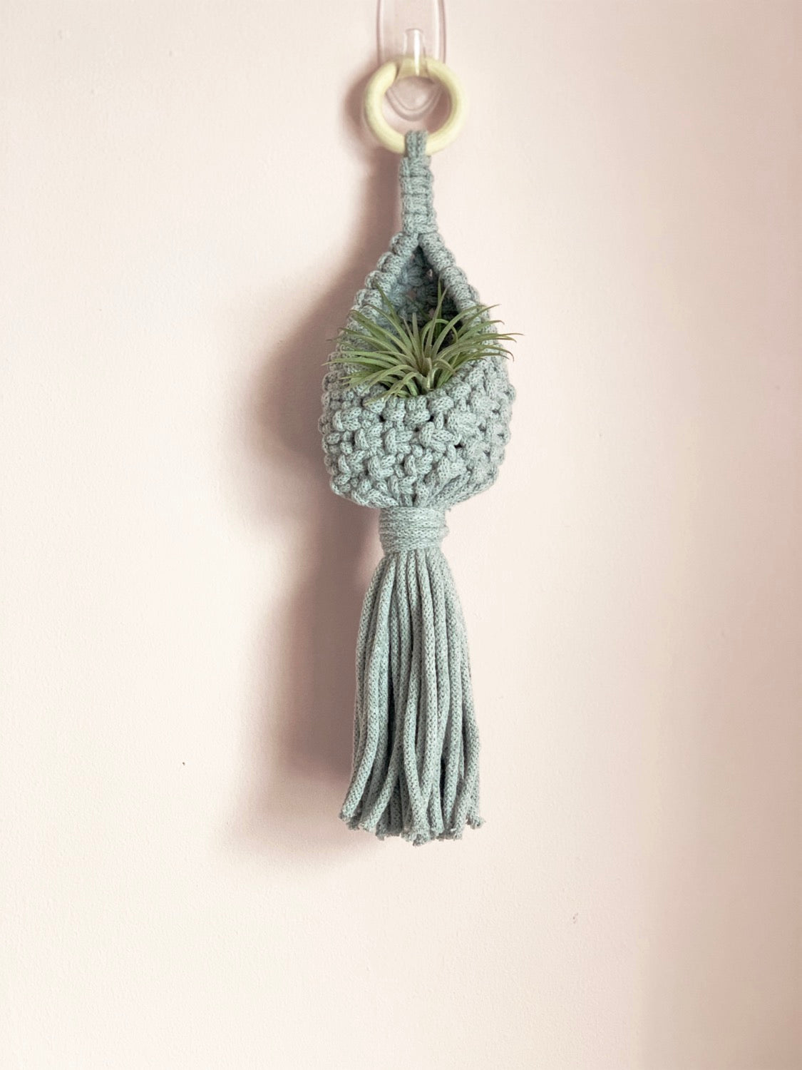 Airplant Pod image 1