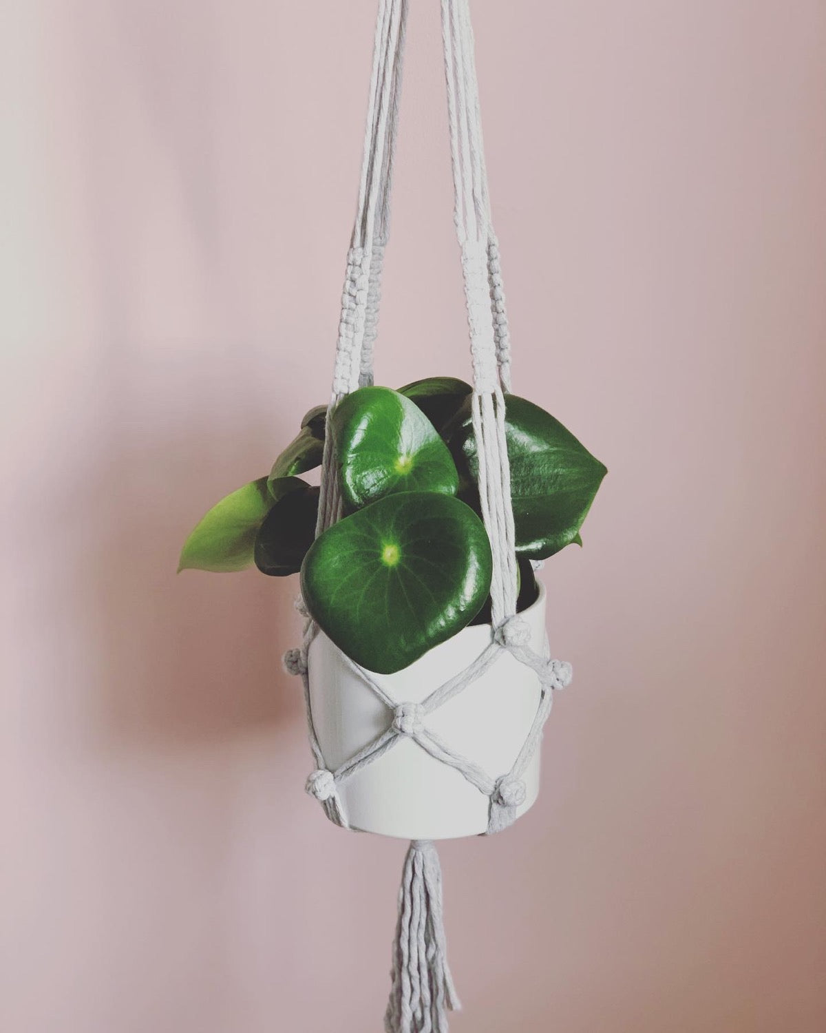 one knot plant hanger Berry Sweet Plant Hanger – One Knot At A Time