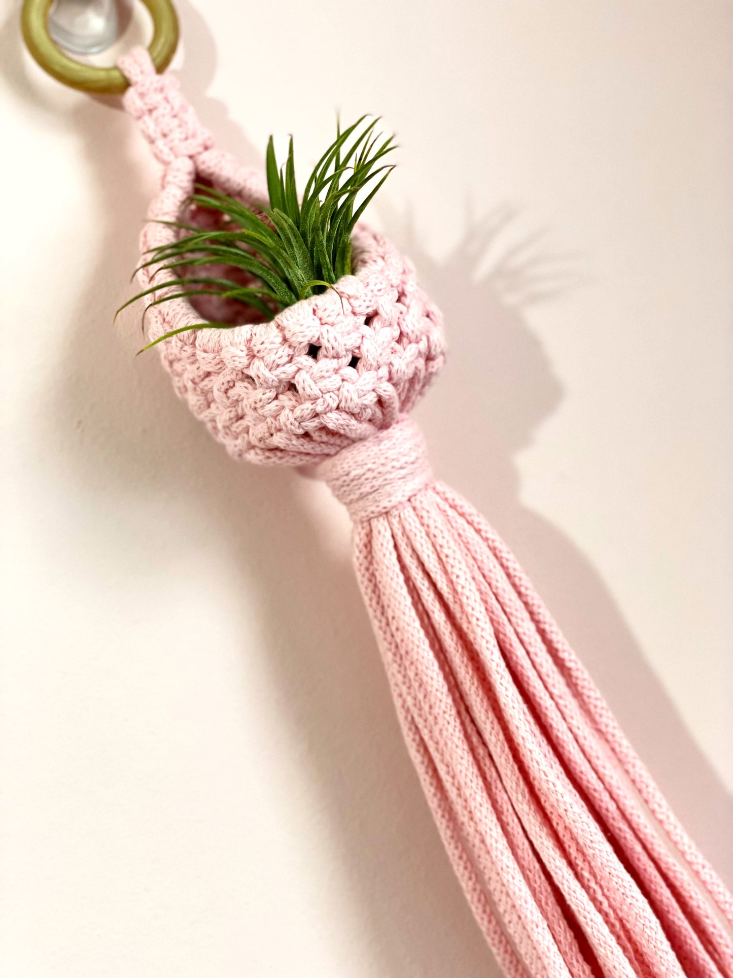 Airplant Pod image 3