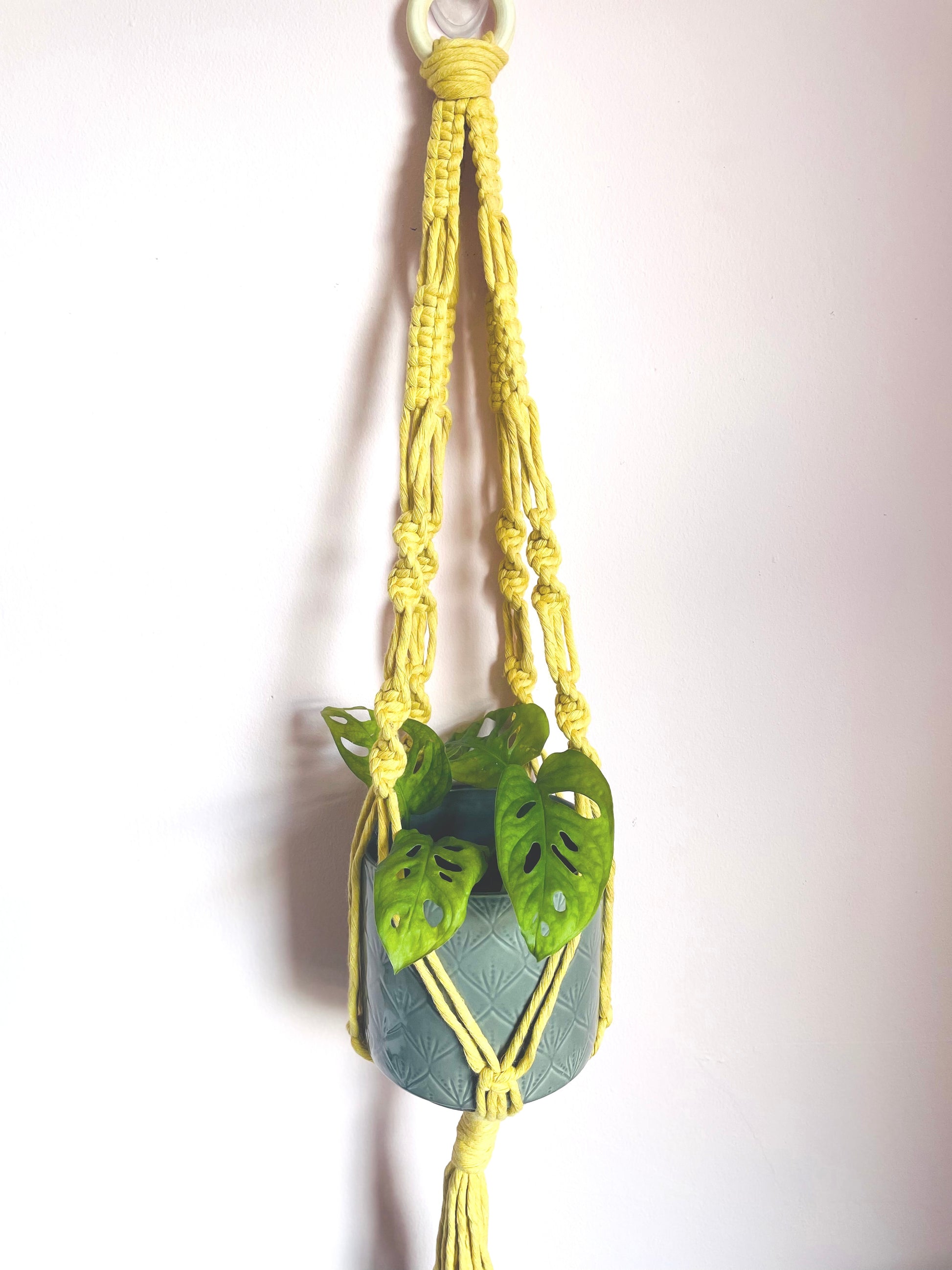 ‘Summer’ Plant Hanger image 1
