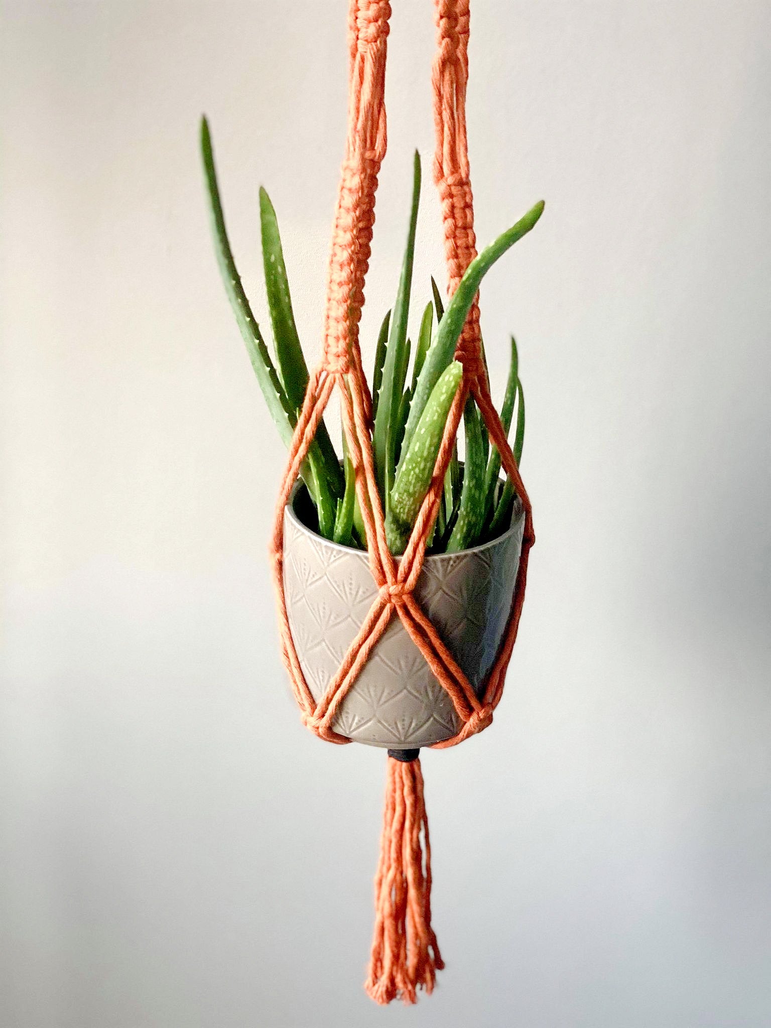 one knot plant hanger Margaret' Plant Hanger – One Knot At A Time