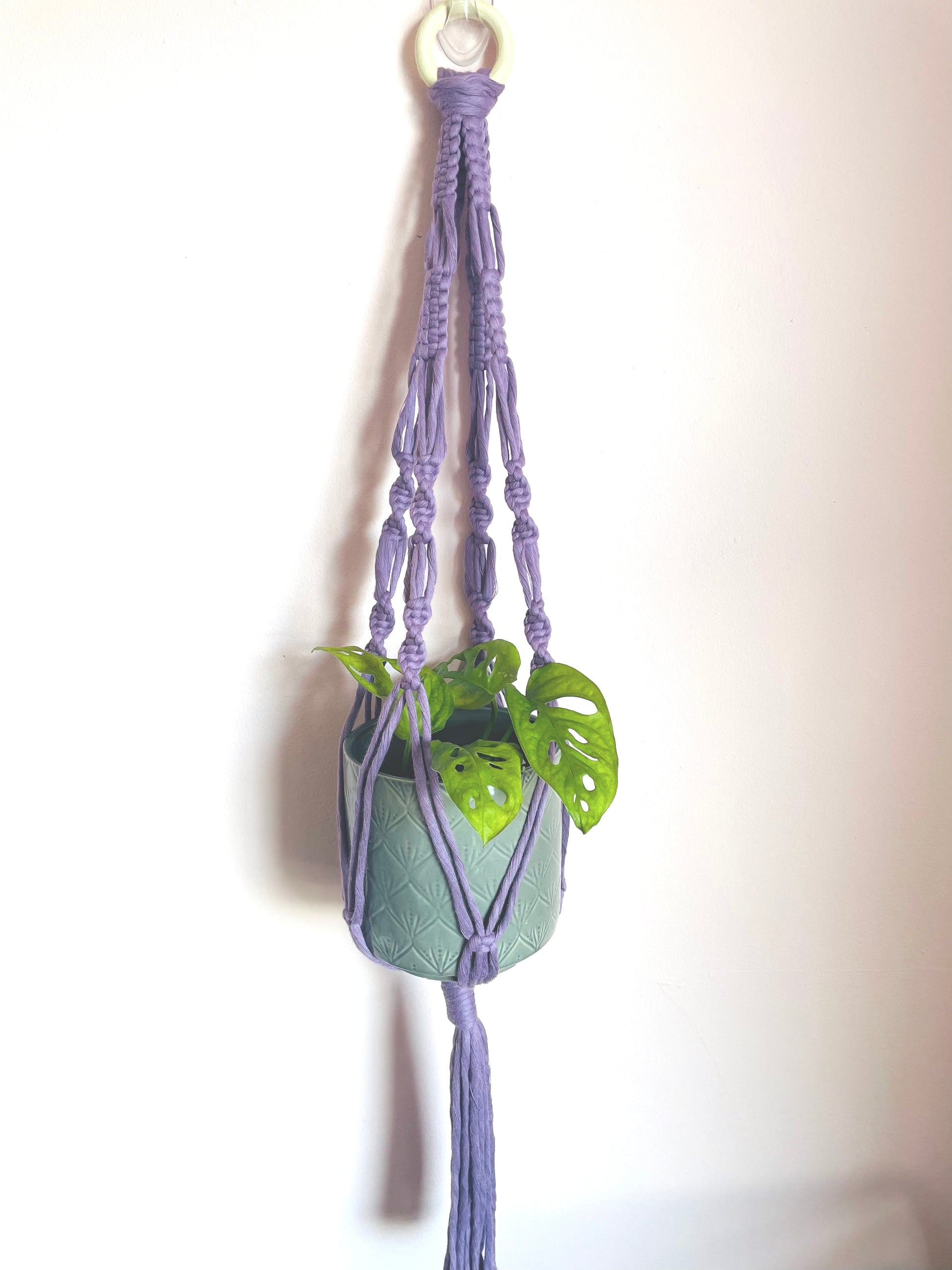 ‘Summer’ Plant Hanger image 3