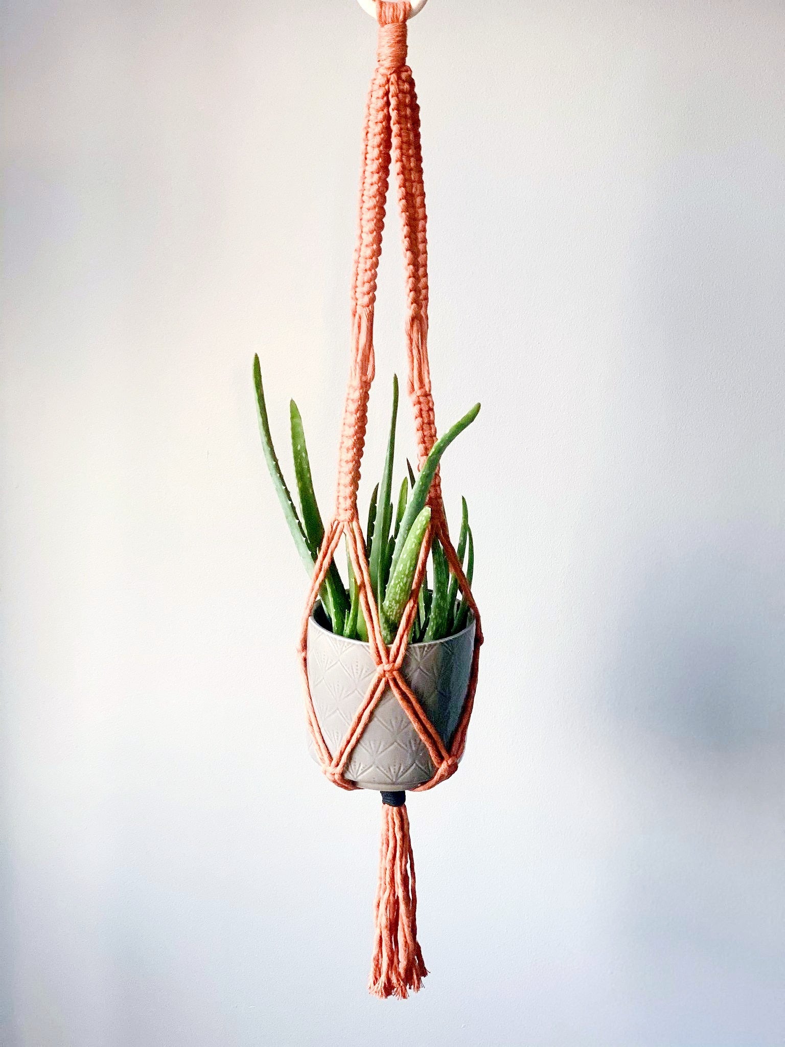 'Margaret' Plant Hanger image 0