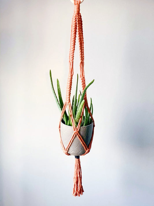 'Margaret' Plant Hanger image 0
