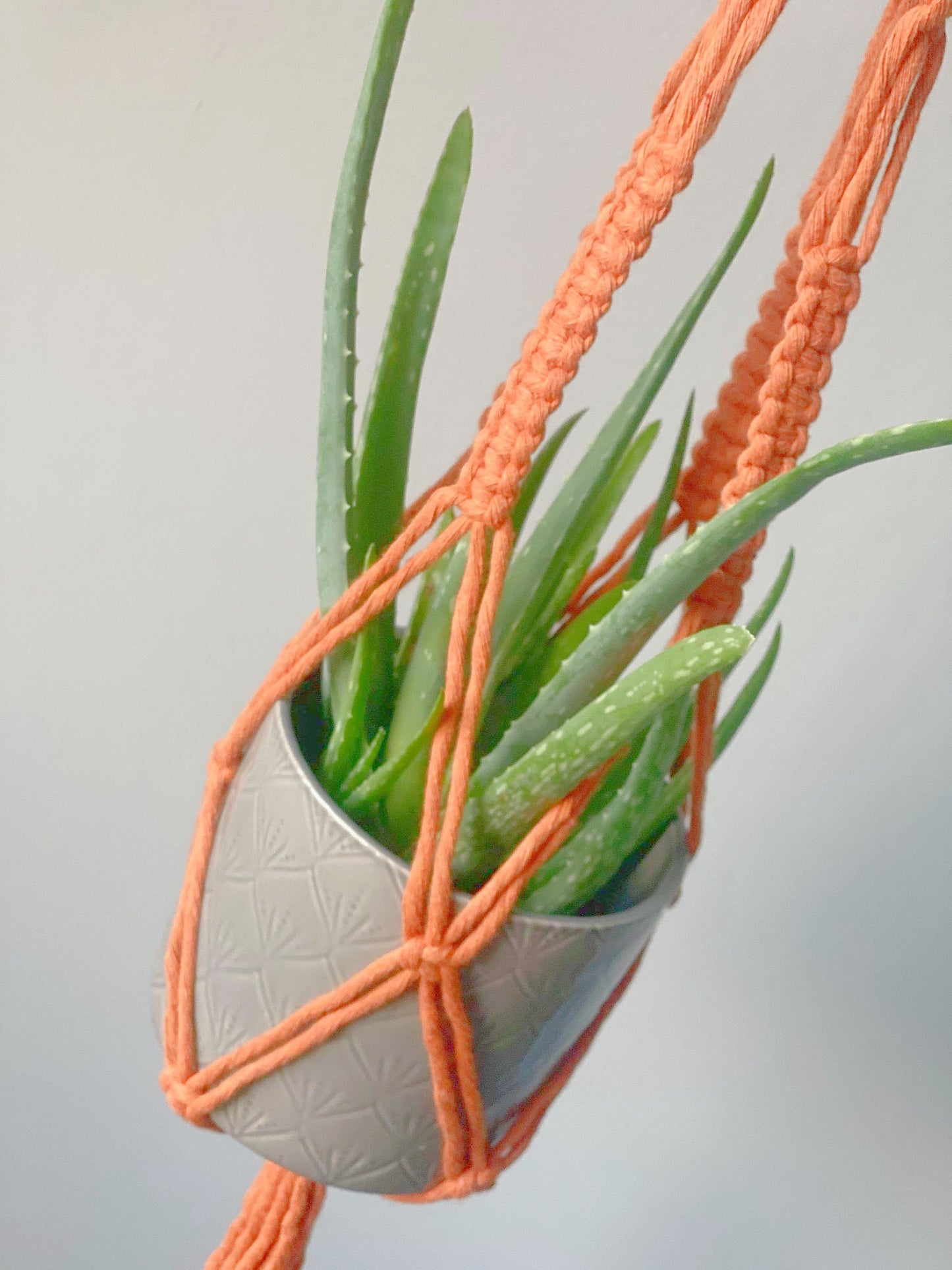 'Margaret' Plant Hanger image 2