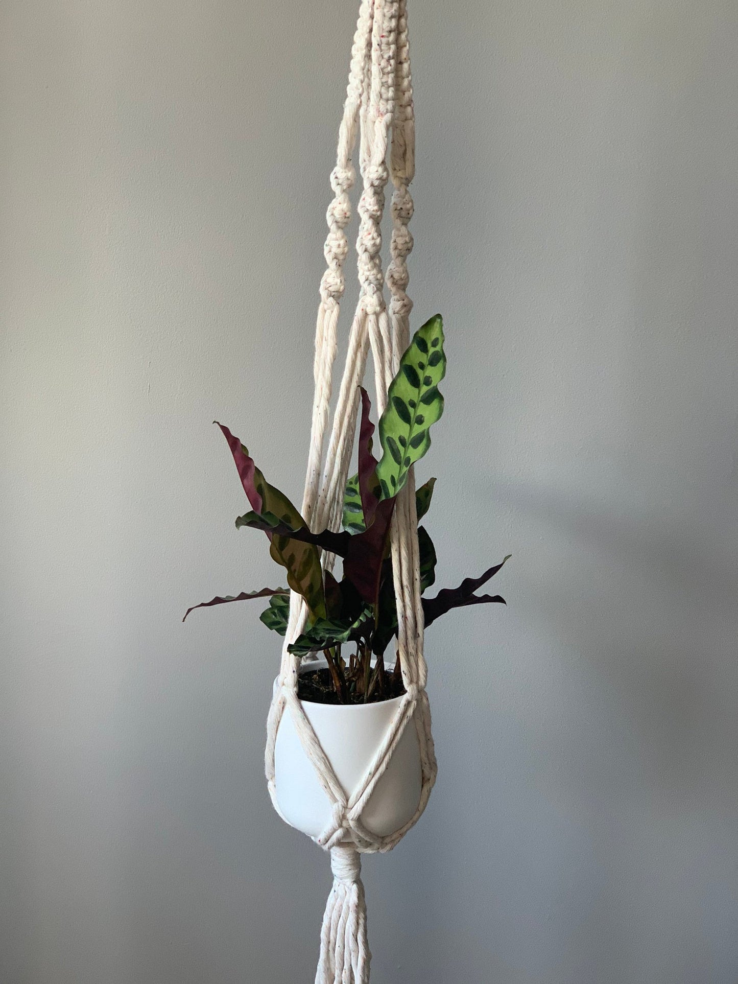 'Elsie' Plant Hanger image 0