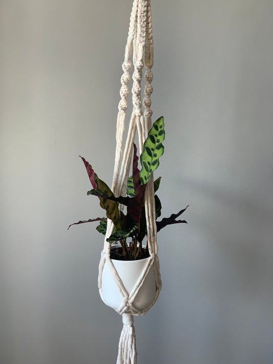 'Elsie' Plant Hanger image 0
