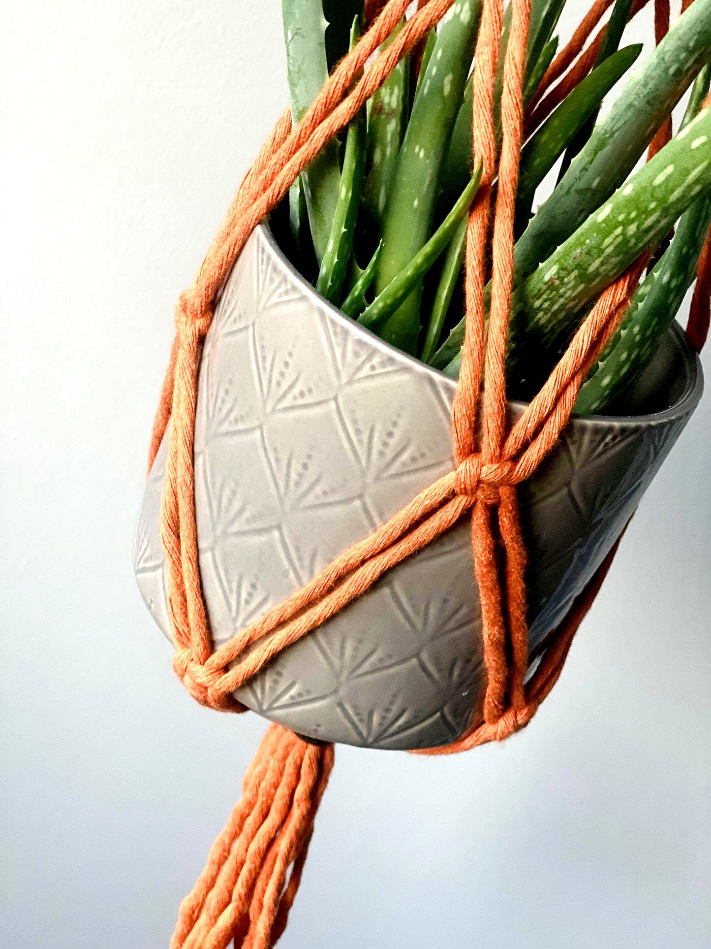 'Margaret' Plant Hanger image 4