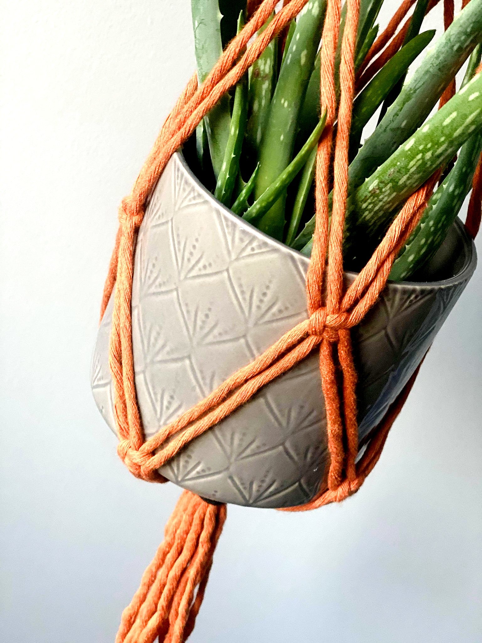 'Margaret' Plant Hanger image 4
