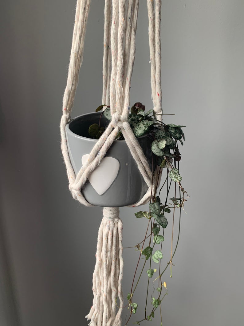 'Elsie' Plant Hanger image 3